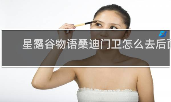 星露谷物语桑迪门卫怎么去后面