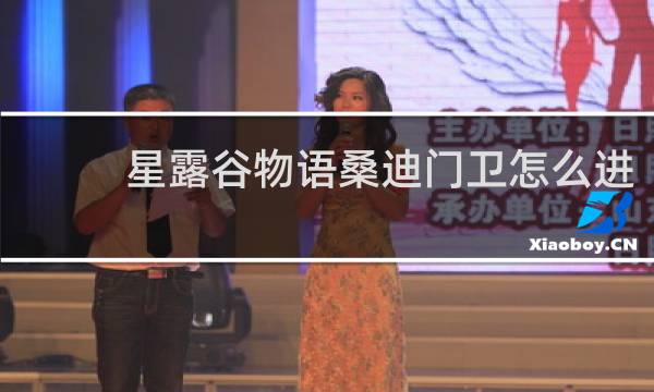 星露谷物语桑迪门卫怎么进