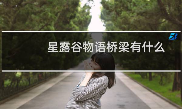 星露谷物语桥梁有什么