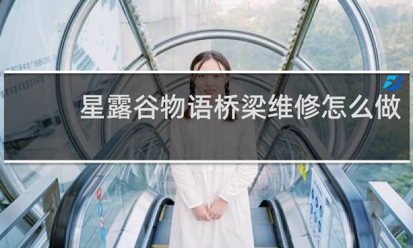 星露谷物语桥梁维修怎么做