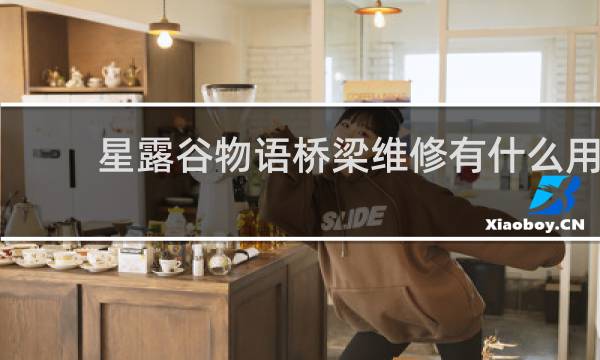 星露谷物语桥梁维修有什么用