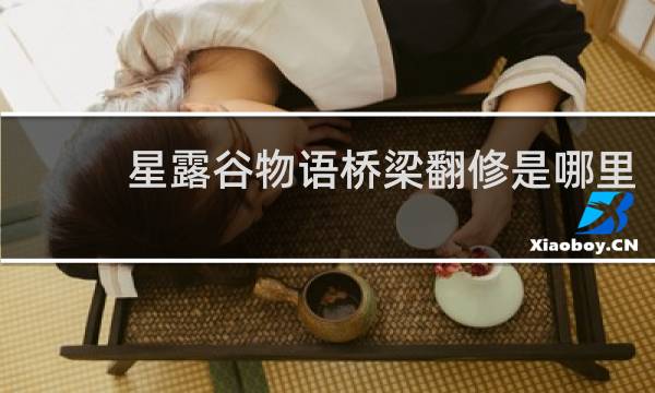 星露谷物语桥梁翻修是哪里