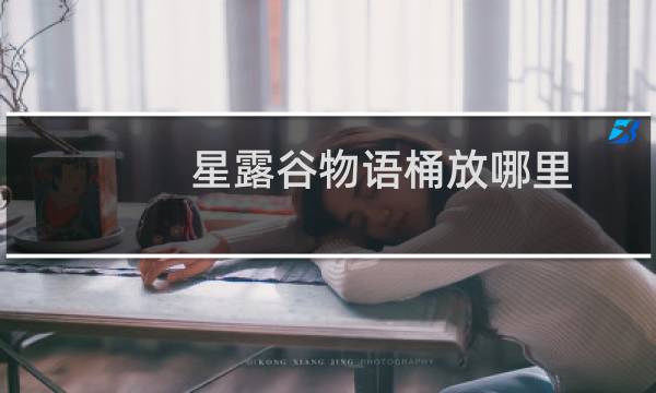 星露谷物语桶放哪里
