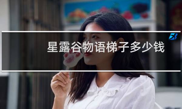 星露谷物语梯子多少钱