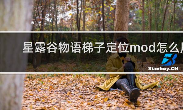 星露谷物语梯子定位mod怎么用