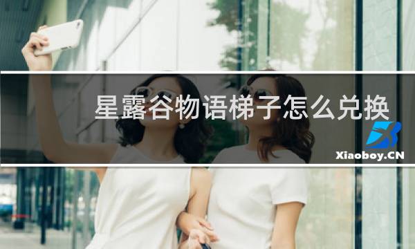 星露谷物语梯子怎么兑换