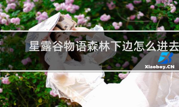 星露谷物语森林下边怎么进去