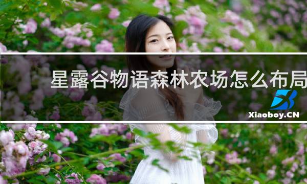 星露谷物语森林农场怎么布局