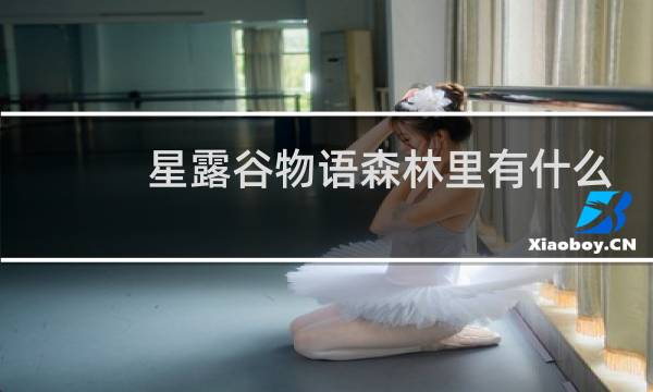 星露谷物语森林里有什么
