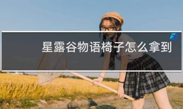 星露谷物语椅子怎么拿到