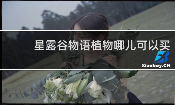 星露谷物语植物哪儿可以买