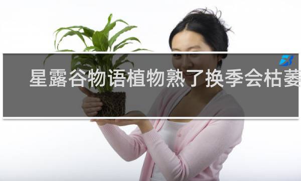 星露谷物语植物熟了换季会枯萎吗