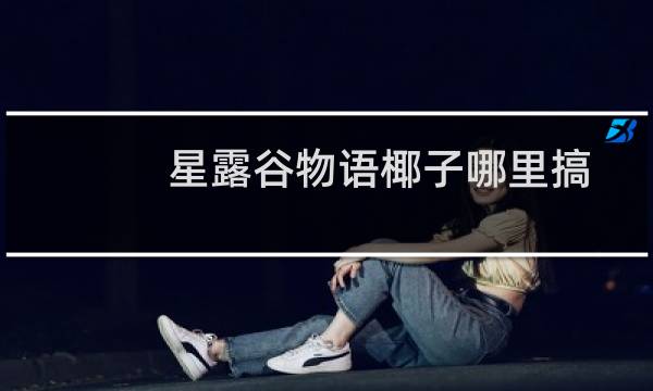 星露谷物语椰子哪里搞