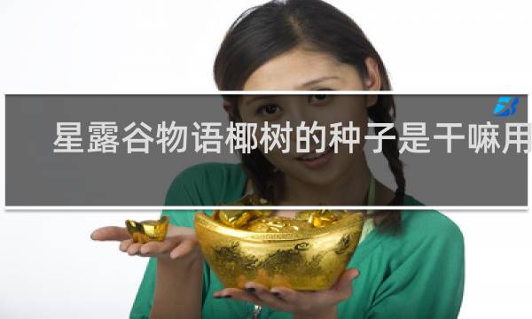 星露谷物语椰树的种子是干嘛用的