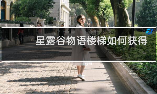 星露谷物语楼梯如何获得