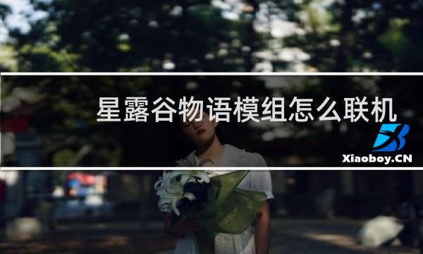 星露谷物语模组怎么联机