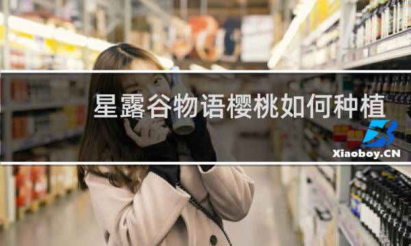 星露谷物语樱桃如何种植