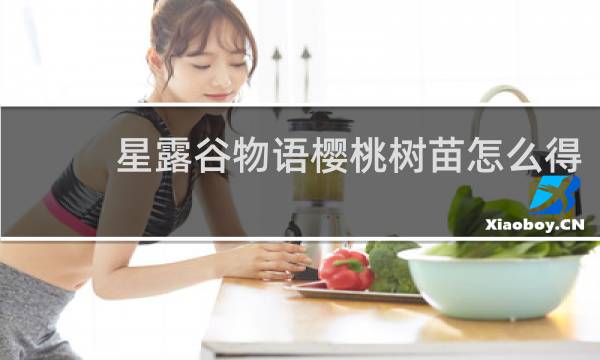 星露谷物语樱桃树苗怎么得