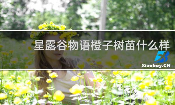 星露谷物语橙子树苗什么样