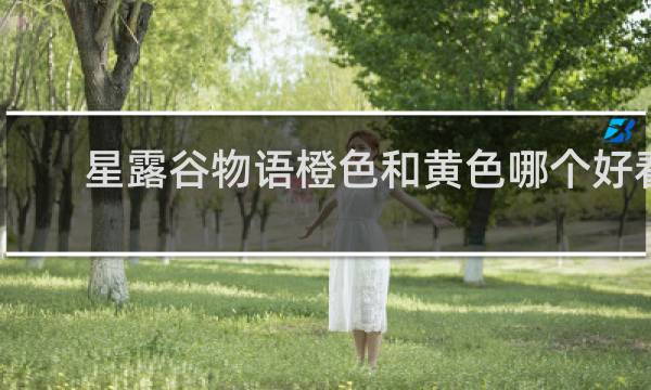 星露谷物语橙色和黄色哪个好看