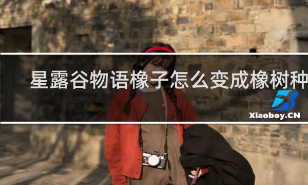星露谷物语橡子怎么变成橡树种子