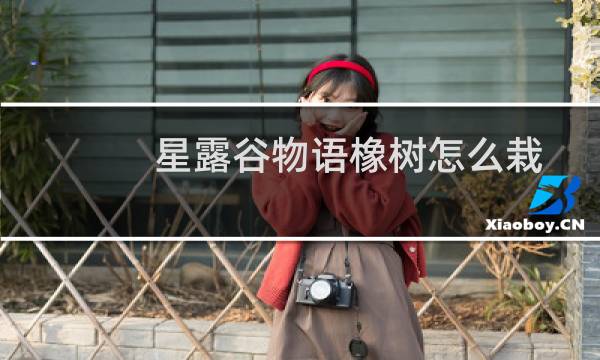 星露谷物语橡树怎么栽