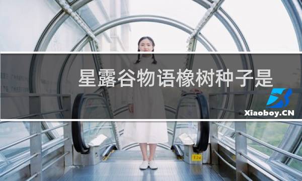 星露谷物语橡树种子是