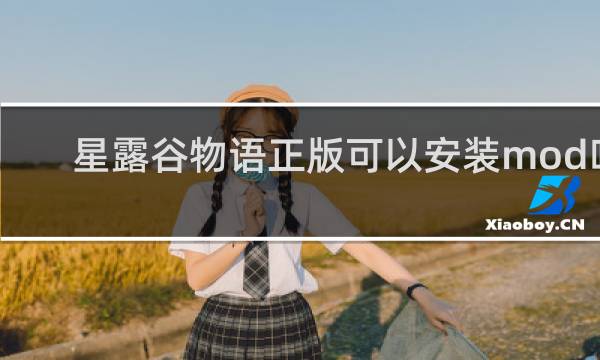 星露谷物语正版可以安装mod吗