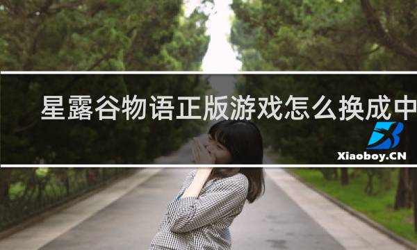 星露谷物语正版游戏怎么换成中文