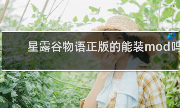 星露谷物语正版的能装mod吗