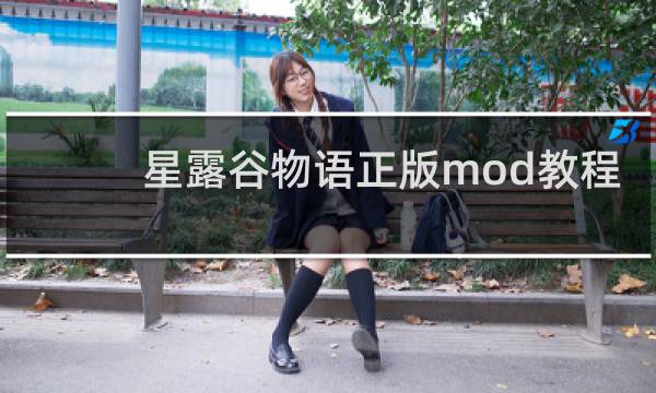 星露谷物语正版mod教程