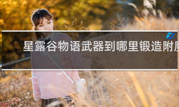 星露谷物语武器到哪里锻造附魔