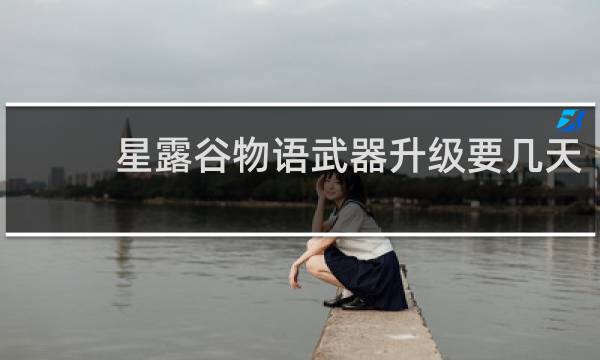 星露谷物语武器升级要几天