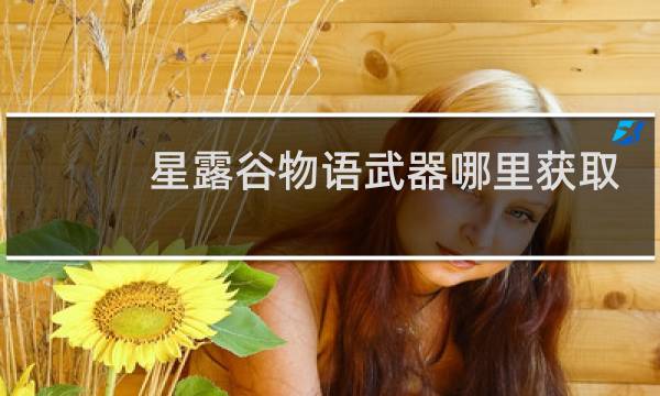 星露谷物语武器哪里获取