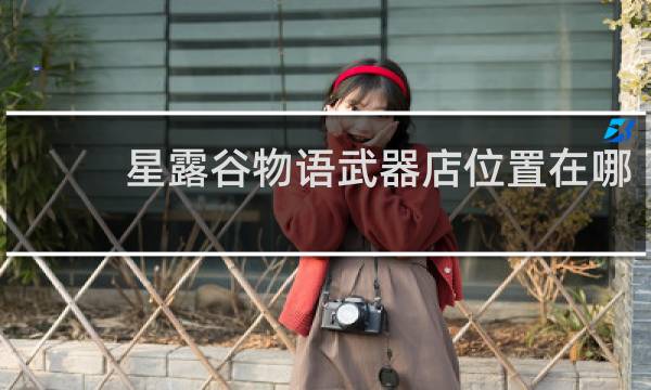 星露谷物语武器店位置在哪