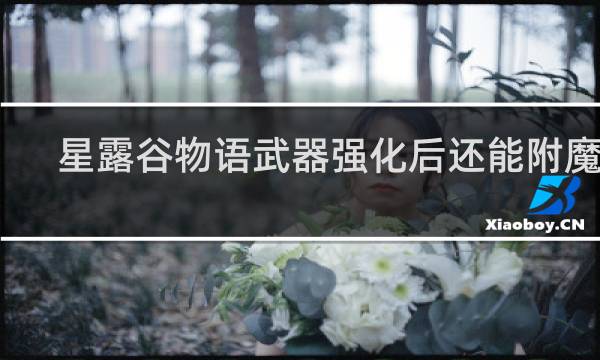 星露谷物语武器强化后还能附魔吗