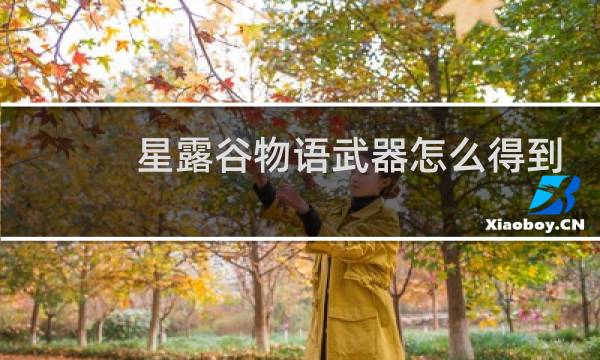 星露谷物语武器怎么得到