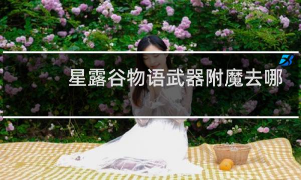 星露谷物语武器附魔去哪