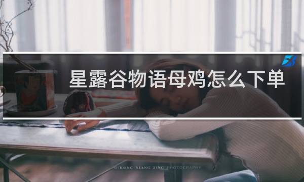 星露谷物语母鸡怎么下单