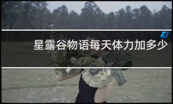星露谷物语每天体力加多少
