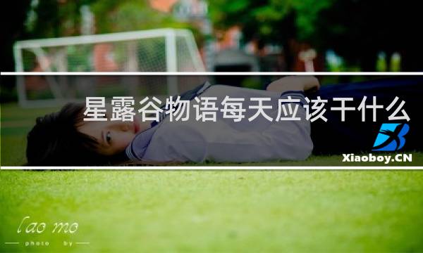 星露谷物语每天应该干什么