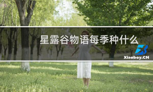 星露谷物语每季种什么