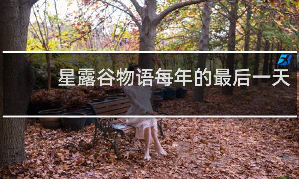 星露谷物语每年的最后一天