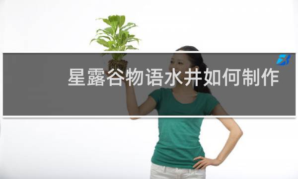 星露谷物语水井如何制作