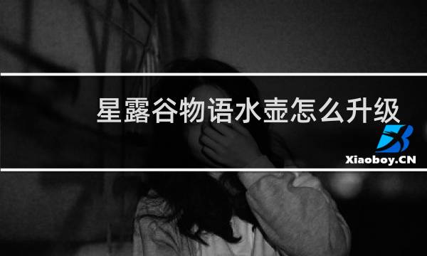 星露谷物语水壶怎么升级