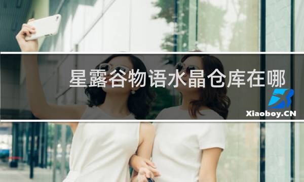 星露谷物语水晶仓库在哪