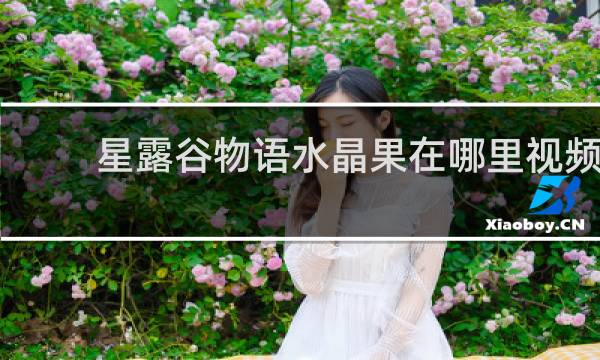 星露谷物语水晶果在哪里视频