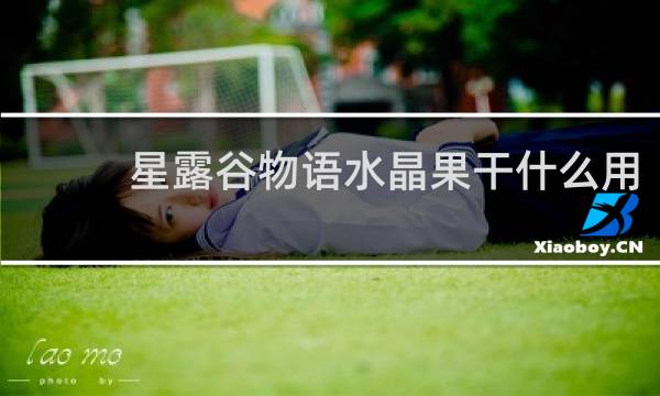 星露谷物语水晶果干什么用