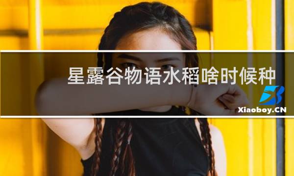 星露谷物语水稻啥时候种