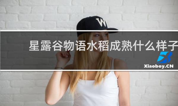 星露谷物语水稻成熟什么样子
